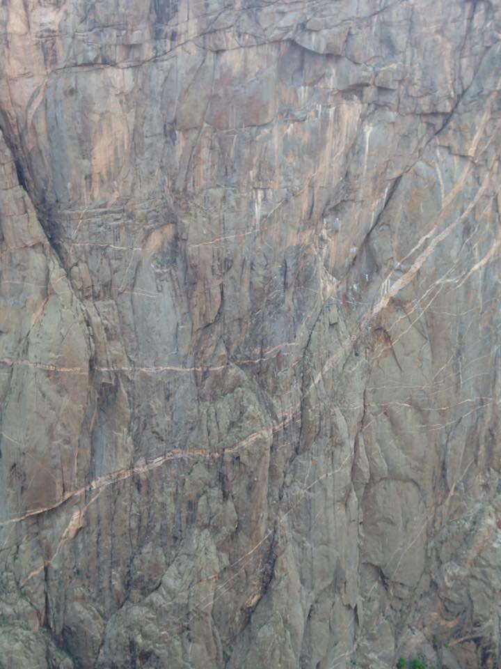 13103425_1242377892457625_7561630358320996879_n