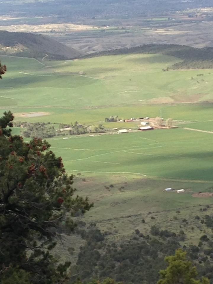 13103432_1242378532457561_7461582924577073795_n