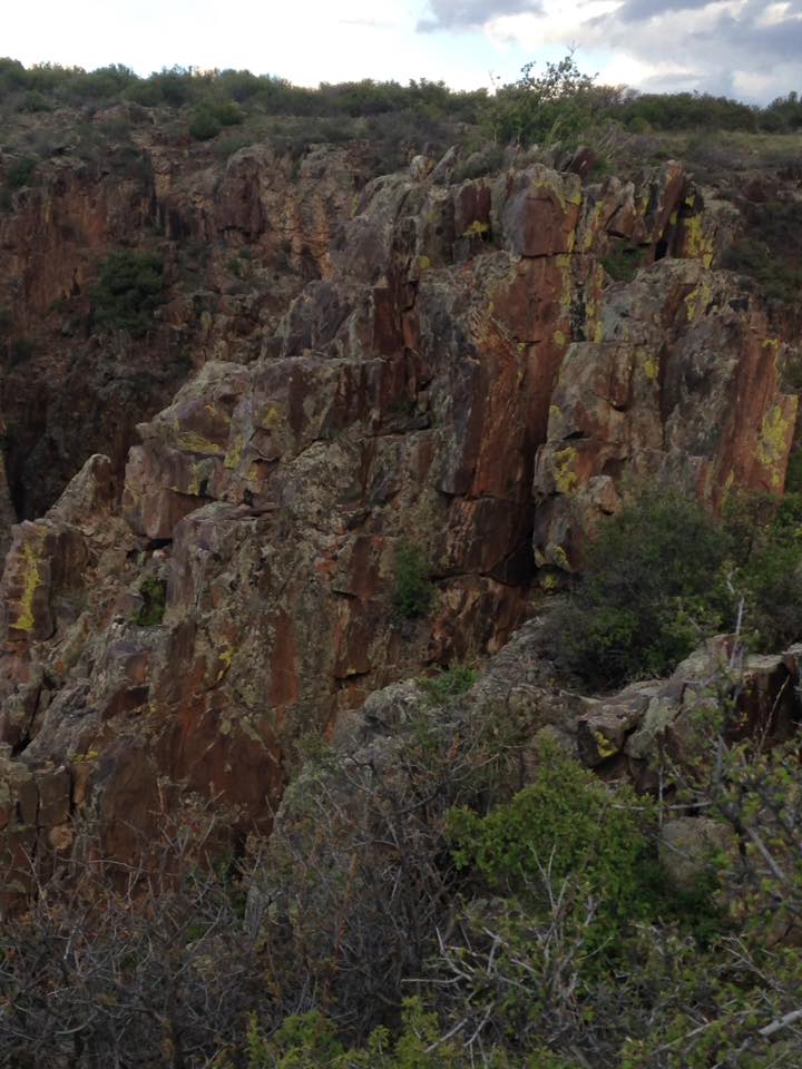 13103532_1242372252458189_870568968374300175_n