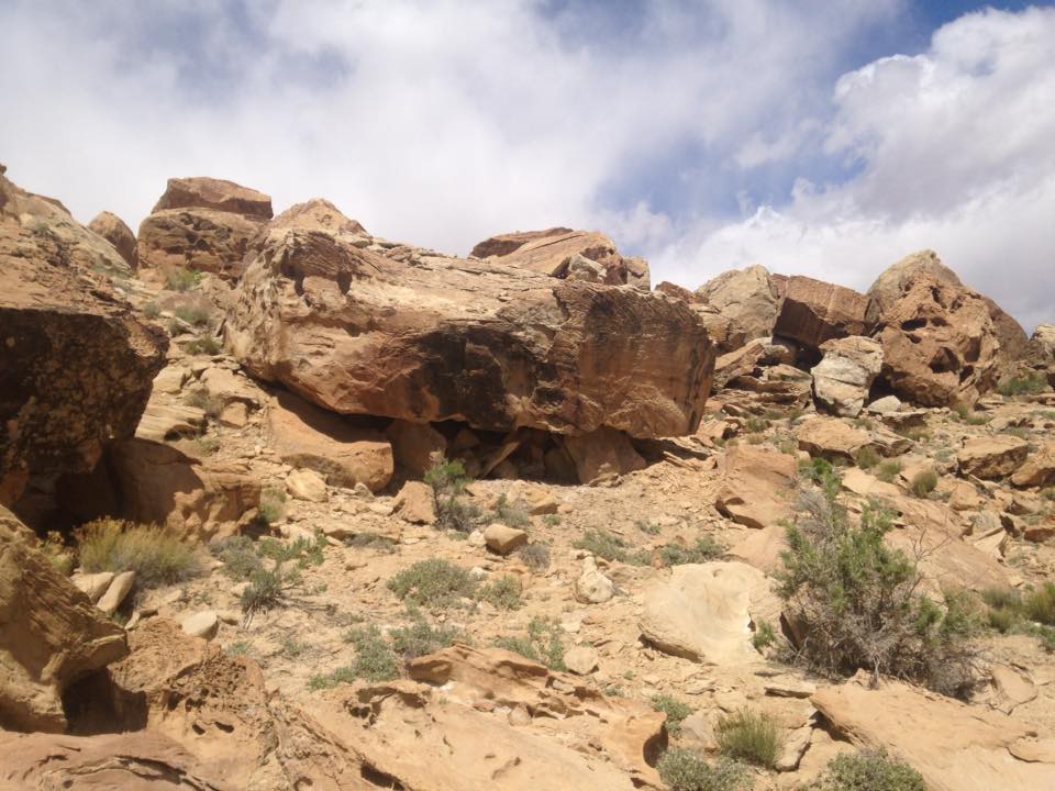 13118976_1243184575710290_4185634000265712497_n