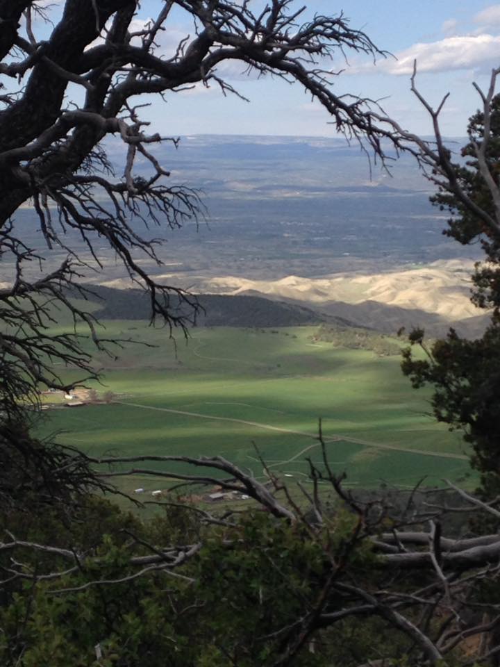 13119017_1242378422457572_7722836047777179248_n