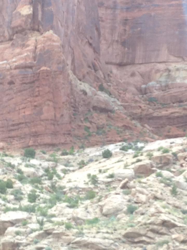 13119095_1242541939107887_1229784241445875614_n