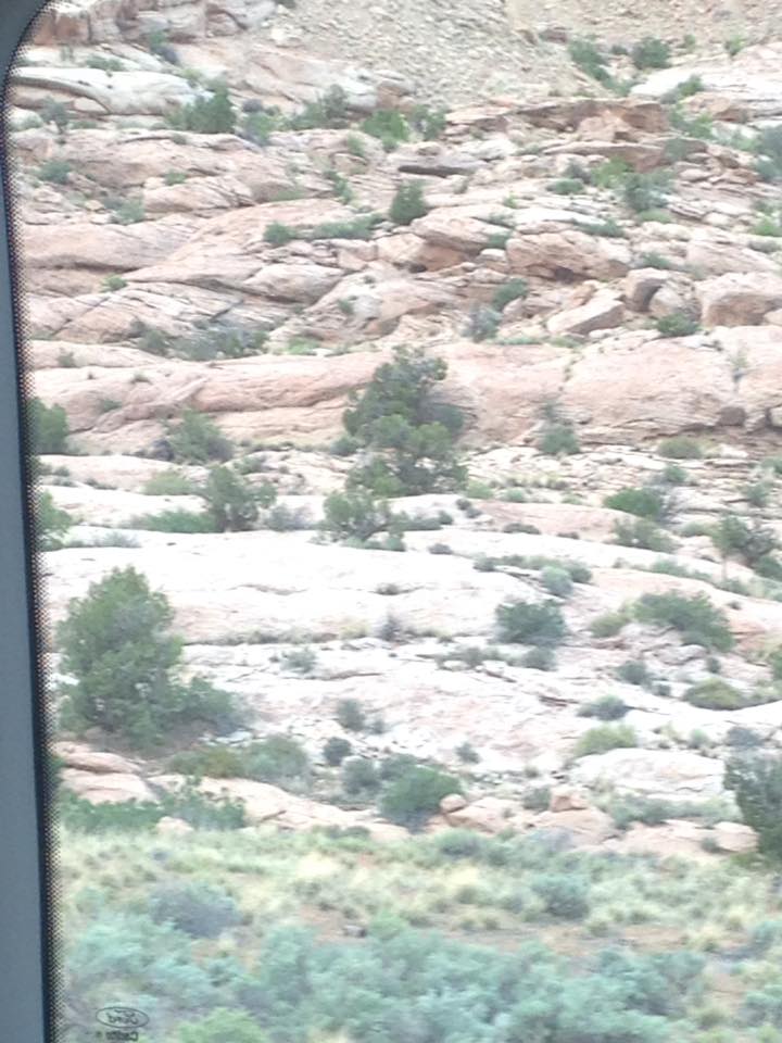 13124505_1242542049107876_8022903018214030150_n