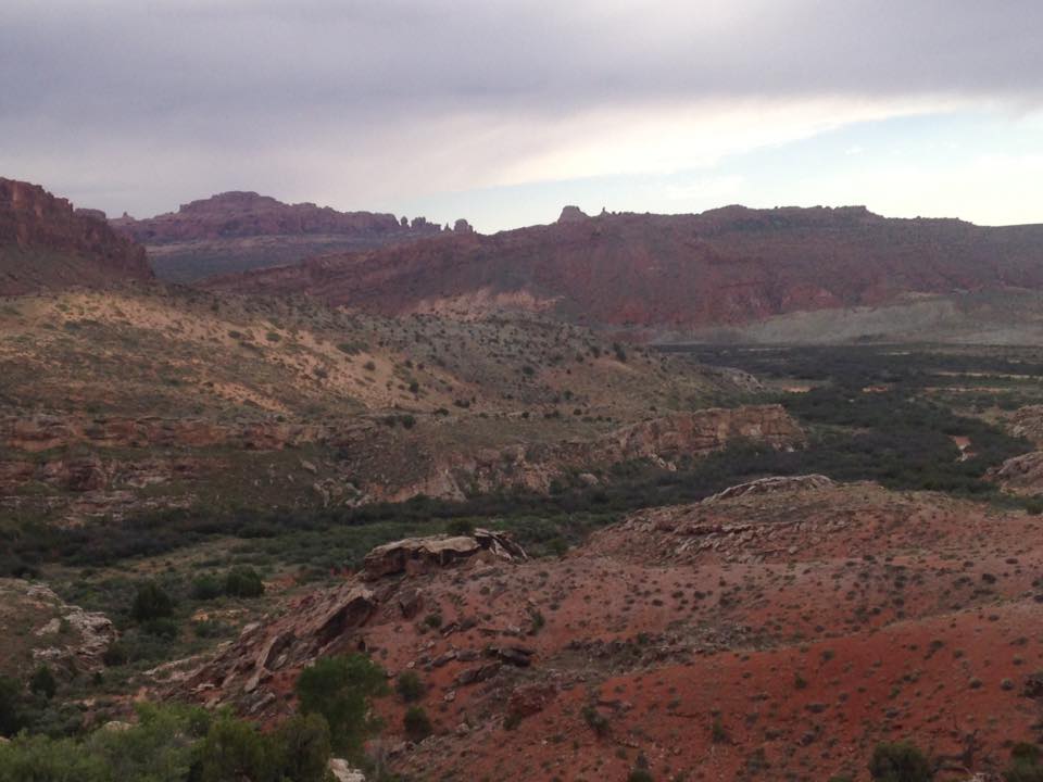 13124585_1242622959099785_6672272722864892086_n