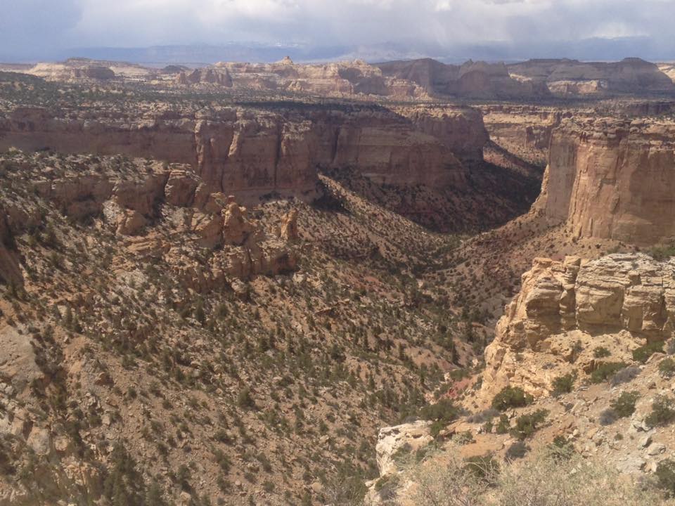 13124624_1243184752376939_7307546608636828717_n