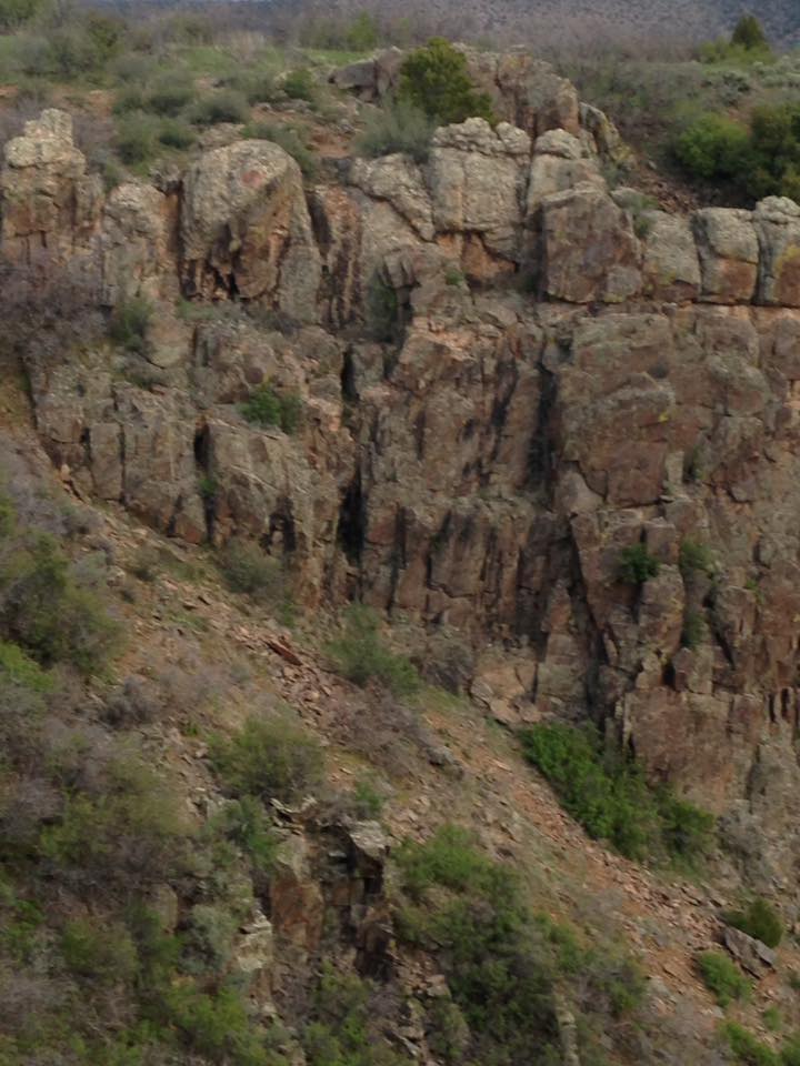 13124728_1242314805797267_7879099264012066596_n