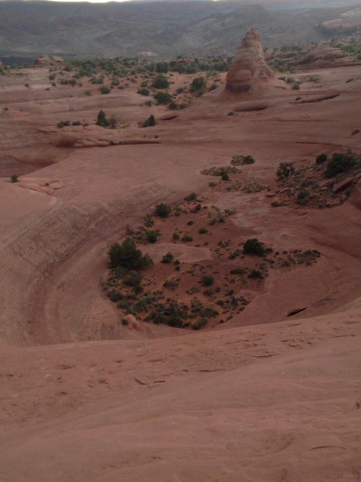 13124734_1242621529099928_6582393373442217618_n