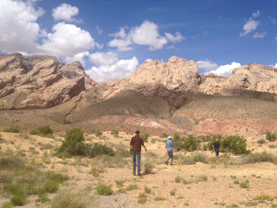 13124766_1243105392384875_2876245343987749985_n