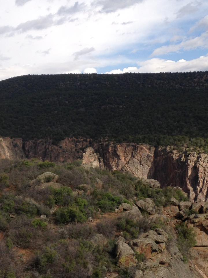 13124849_1242378419124239_5886519987369710433_n