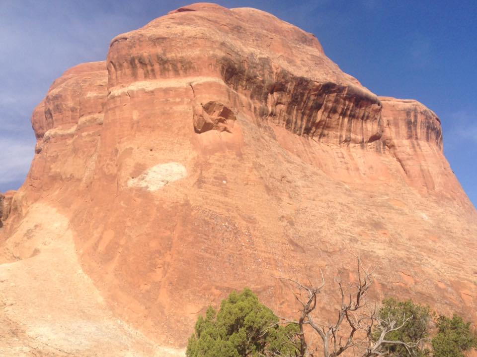 13124915_1243038942391520_3679695524056630313_n