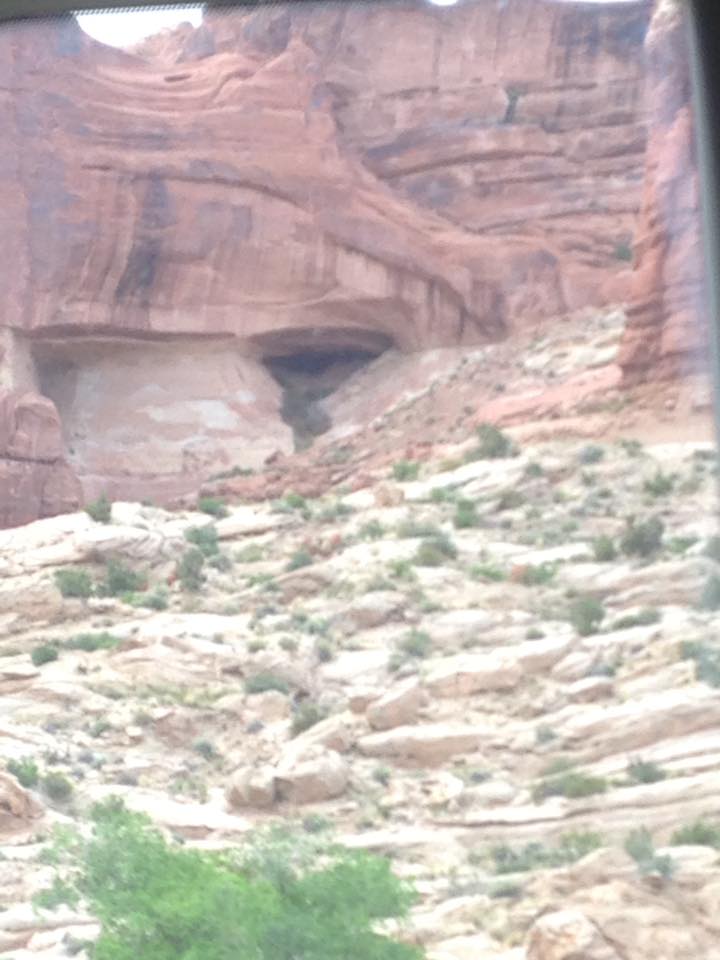 13124976_1242541979107883_5860859417279123519_n