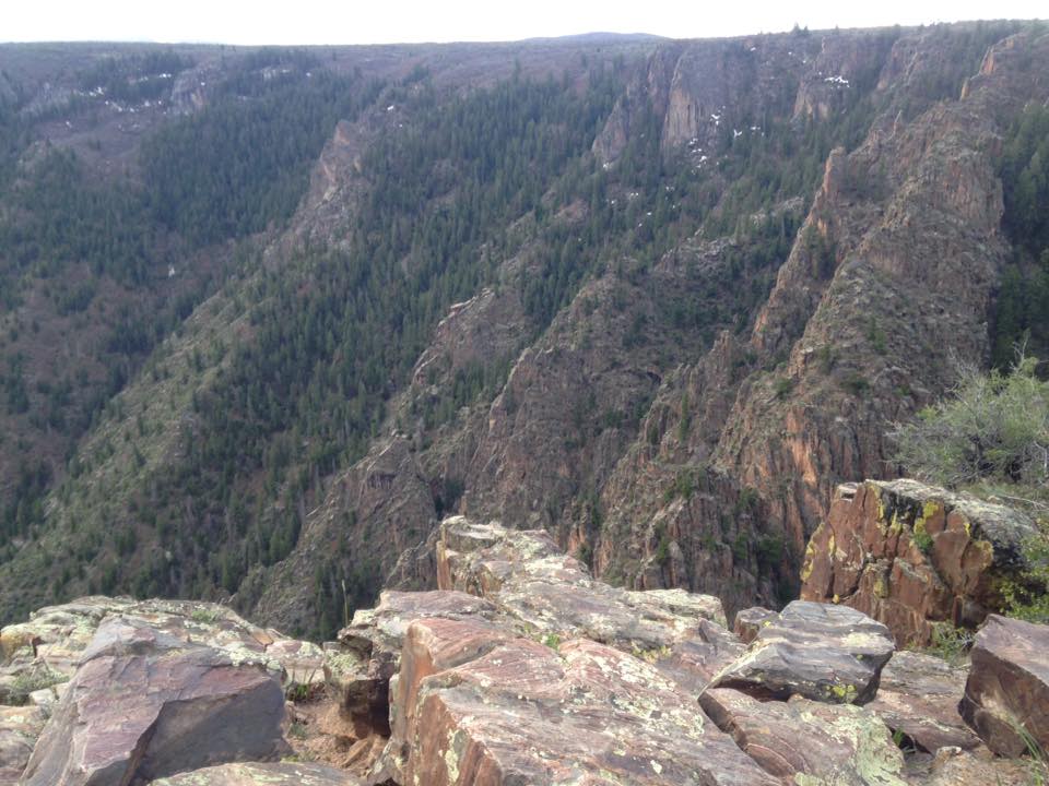 13133089_1242314422463972_2846670794521026584_n