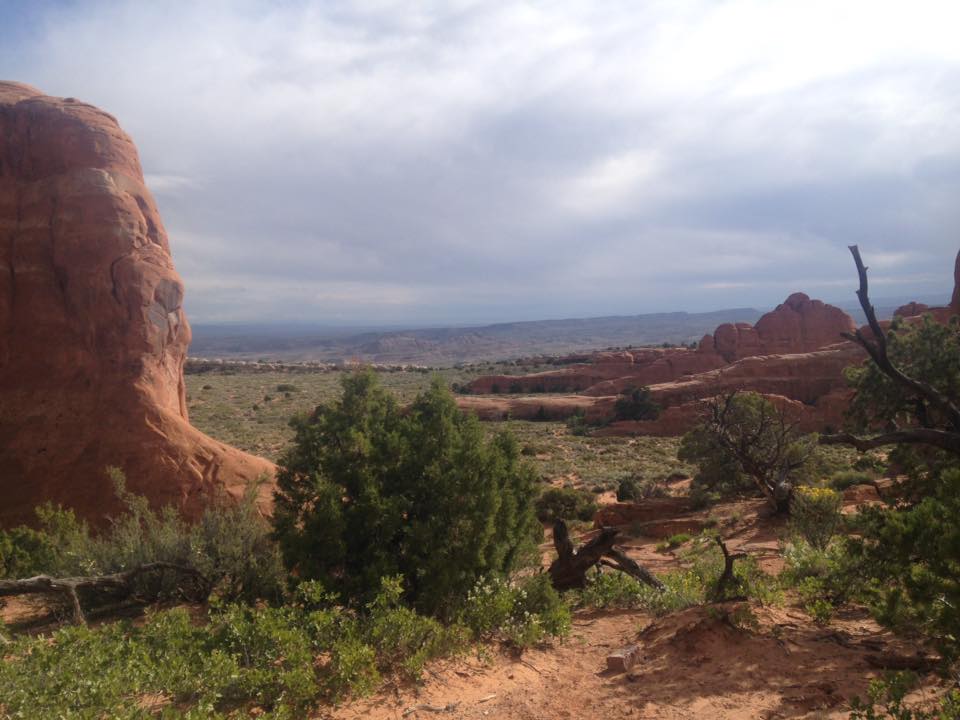 13133098_1243038969058184_2920648277229052502_n