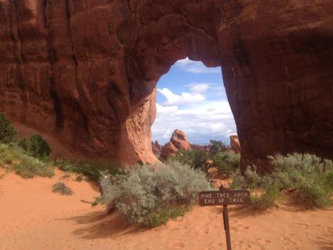 13133112_1243038645724883_8377499747655989665_n