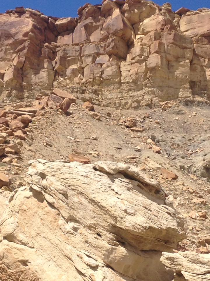 13133119_1243184642376950_9032822527464135252_n