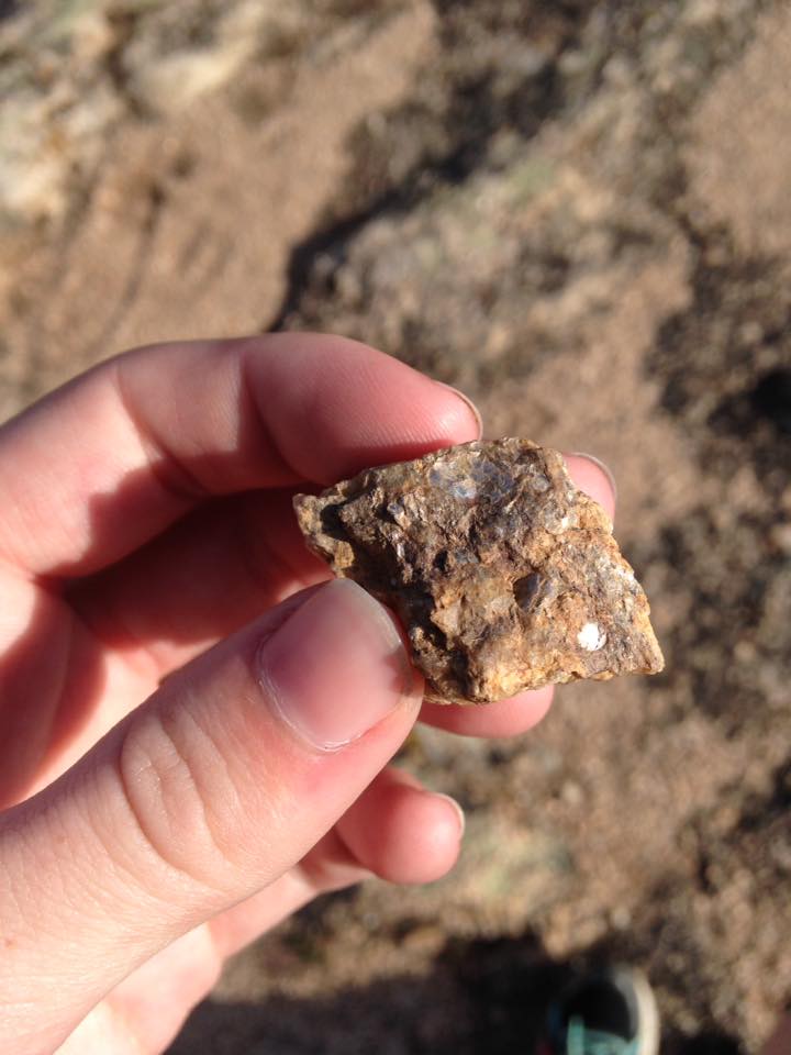 13133287_1242377202457694_2173071993779817581_n