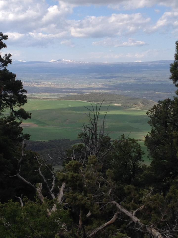 13133299_1242378465790901_5855093299986432869_n