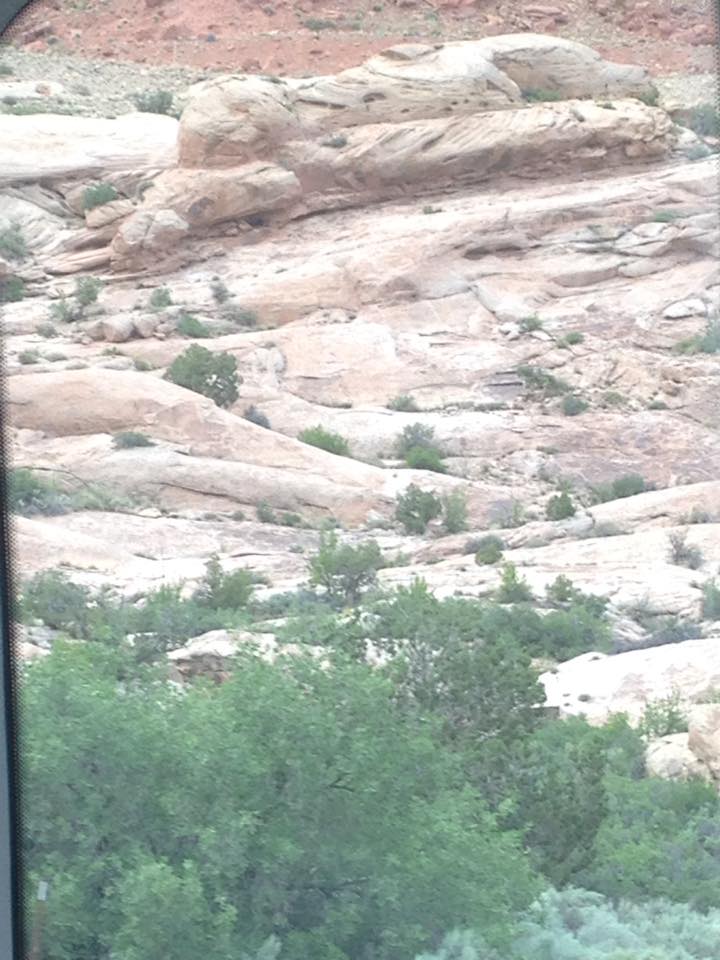 13133305_1242542025774545_2769103526638987694_n