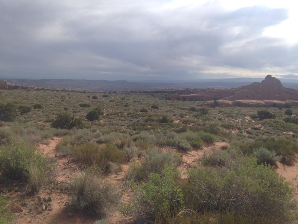 13133335_1243038852391529_8058455463647005428_n