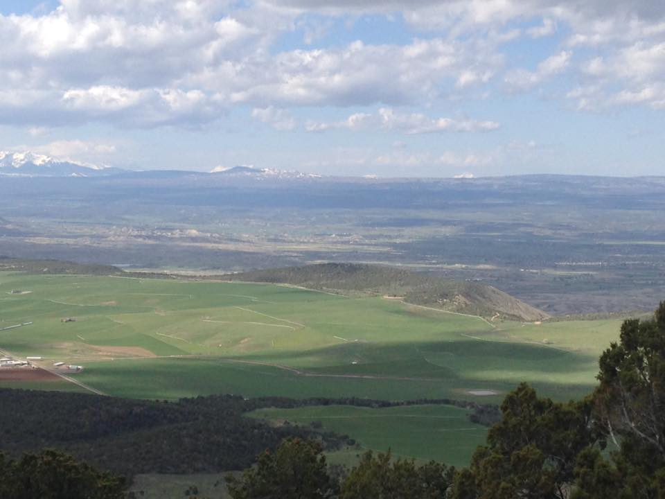 13133377_1242378485790899_5005099421953547039_n