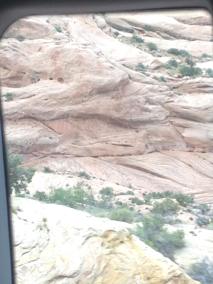 13138842_1242542139107867_7560071283193683693_n