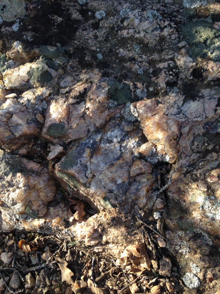 13138846_1242375102457904_1325121906278892345_n