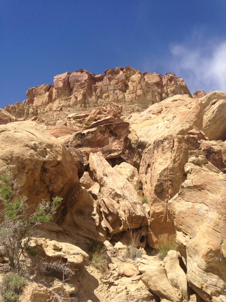 13138862_1243184582376956_3667946477716966913_n