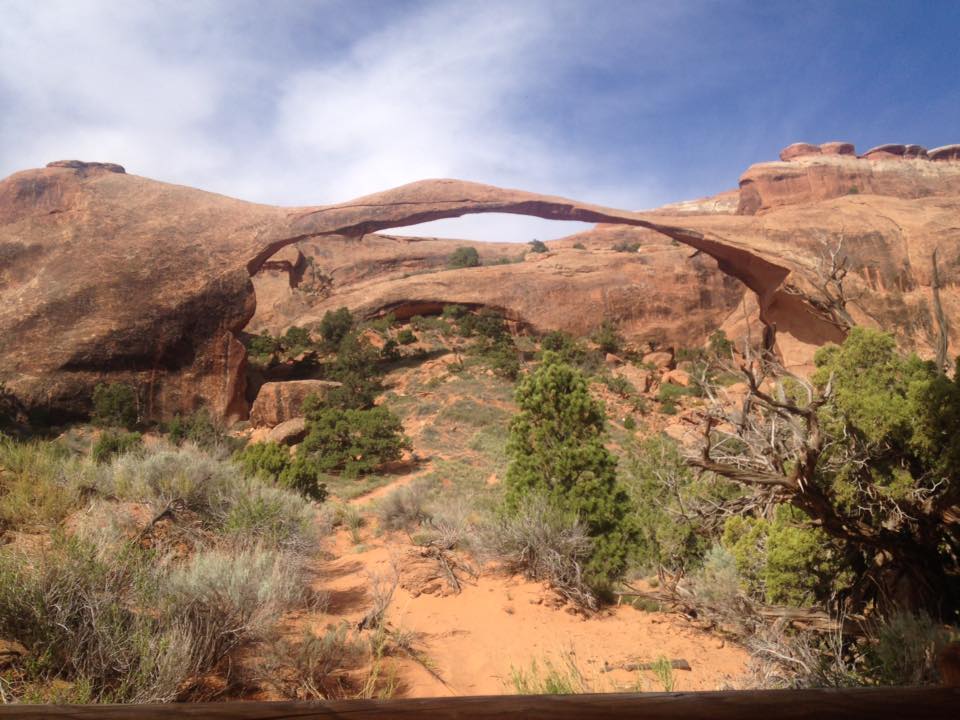 13138915_1243038665724881_1645771123475719055_n