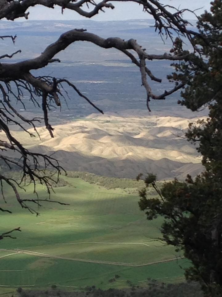 13138919_1242378442457570_7752305426082239641_n