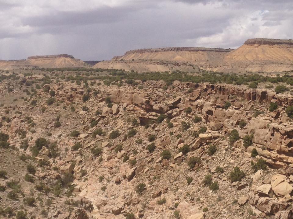 13138927_1243184805710267_3088457839916542418_n