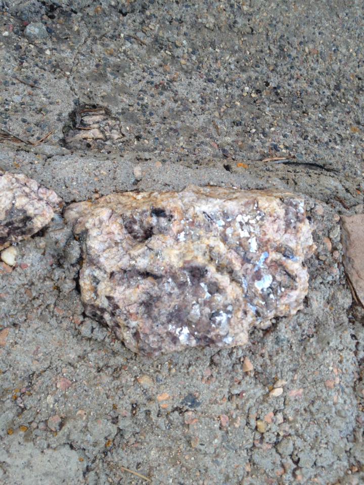 13139099_1242375645791183_2442337628507687754_n