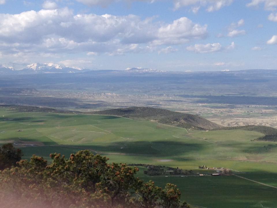 13139212_1242379342457480_4516110689690582815_n