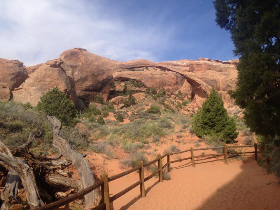 13139228_1243038789058202_8475883171725206503_n