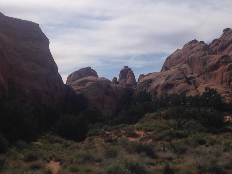 13139309_1243038599058221_5039526672212828444_n