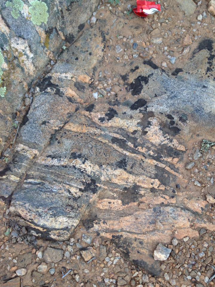 13139333_1242375405791207_7086260783998295166_n