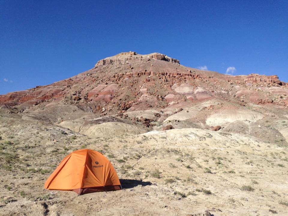 13151397_1244402498921831_5805461431311879656_n