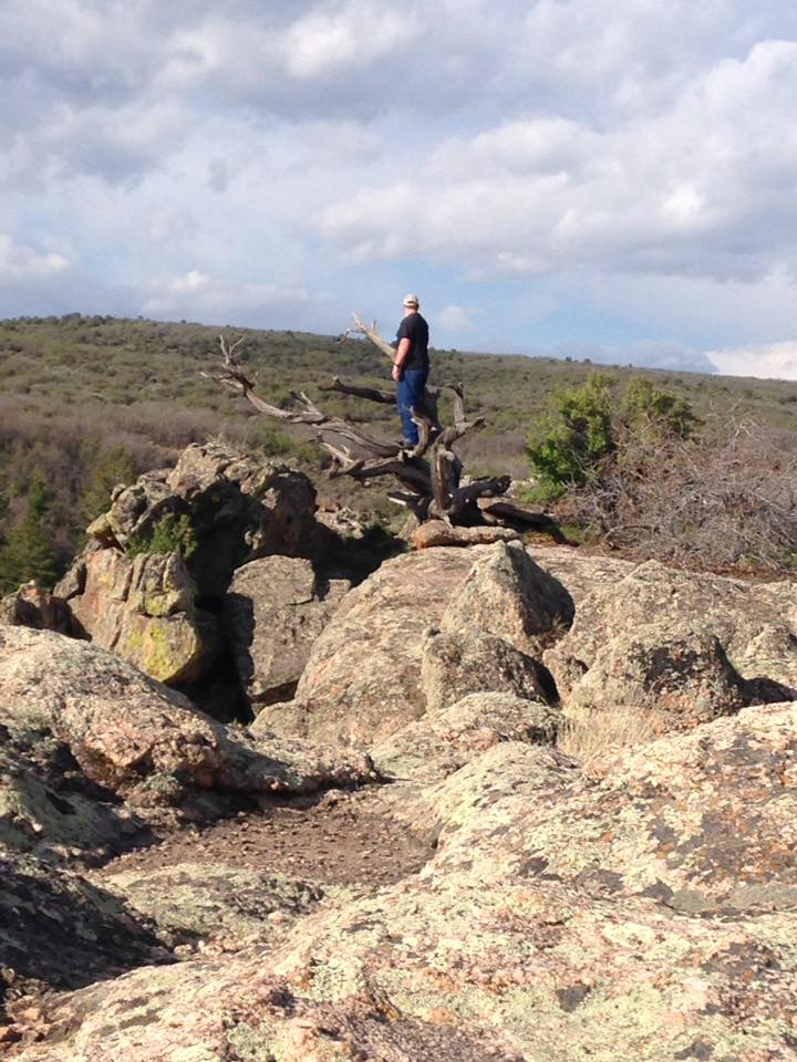 13151443_1242377539124327_1094353385404266484_n