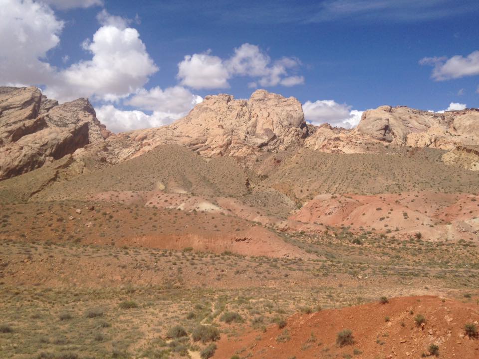 13151482_1243105279051553_4242572424548232737_n