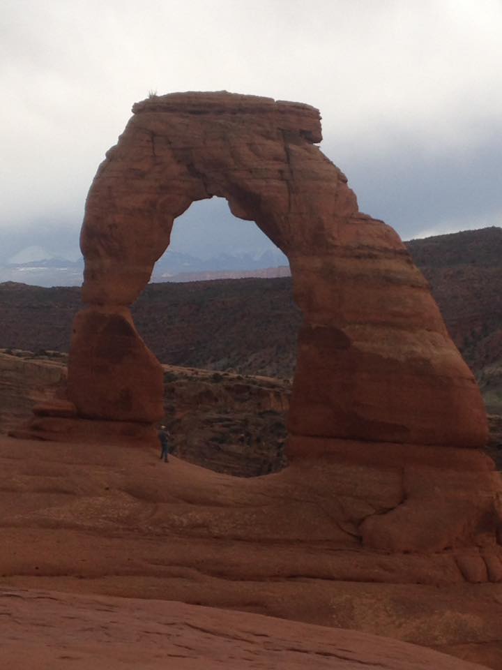 13151483_1242622882433126_2505594539650725681_n