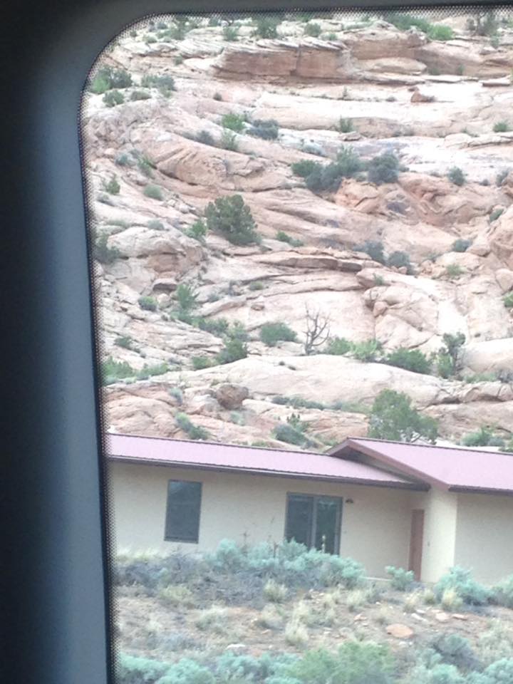 13151695_1242542075774540_3013988069530800528_n