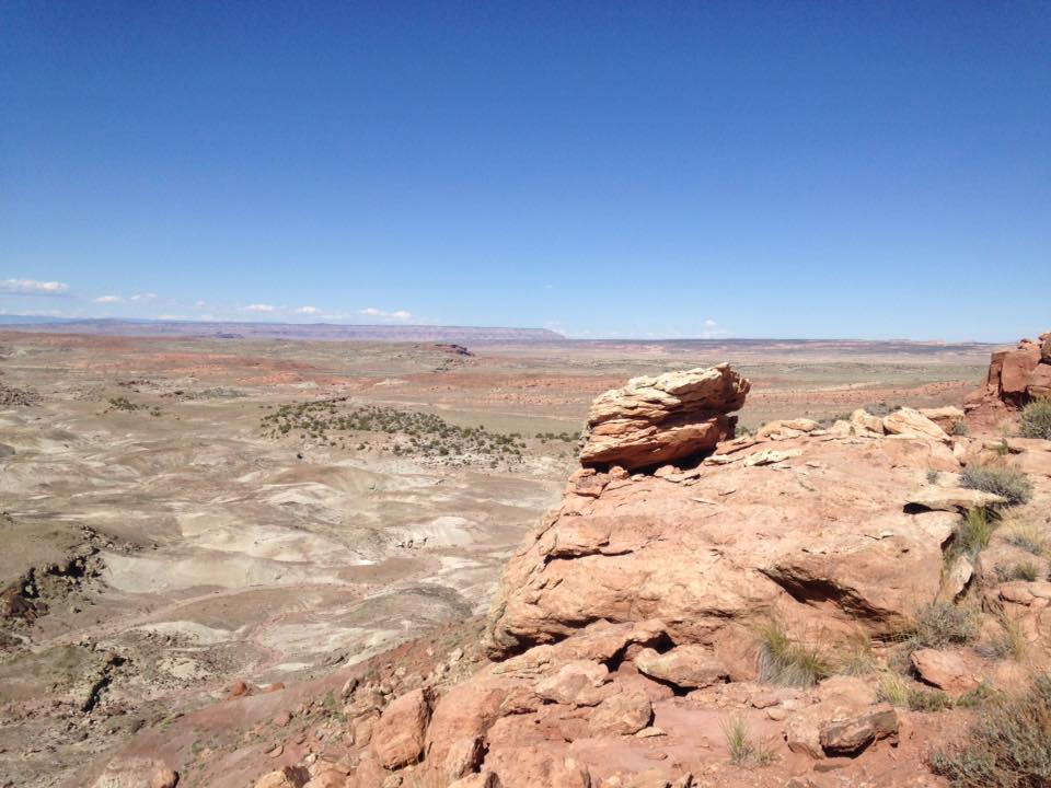 13151757_1245441145484633_1526466891114377217_n