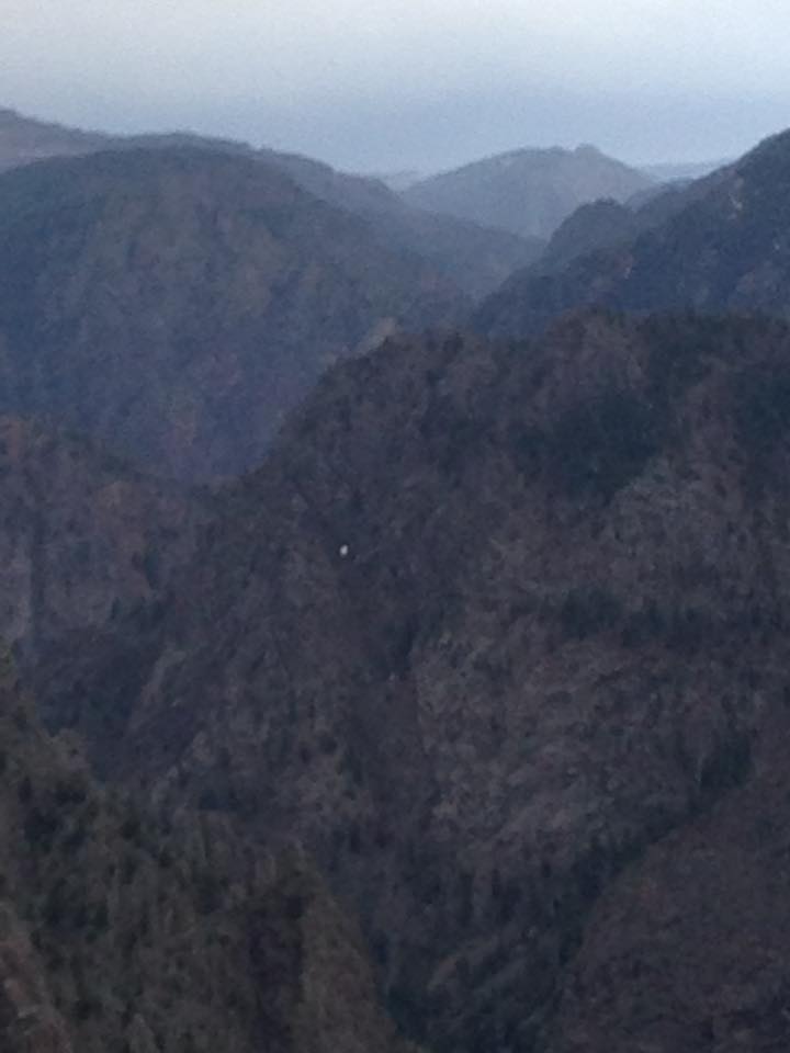 13151804_1242313945797353_8061464955473638755_n