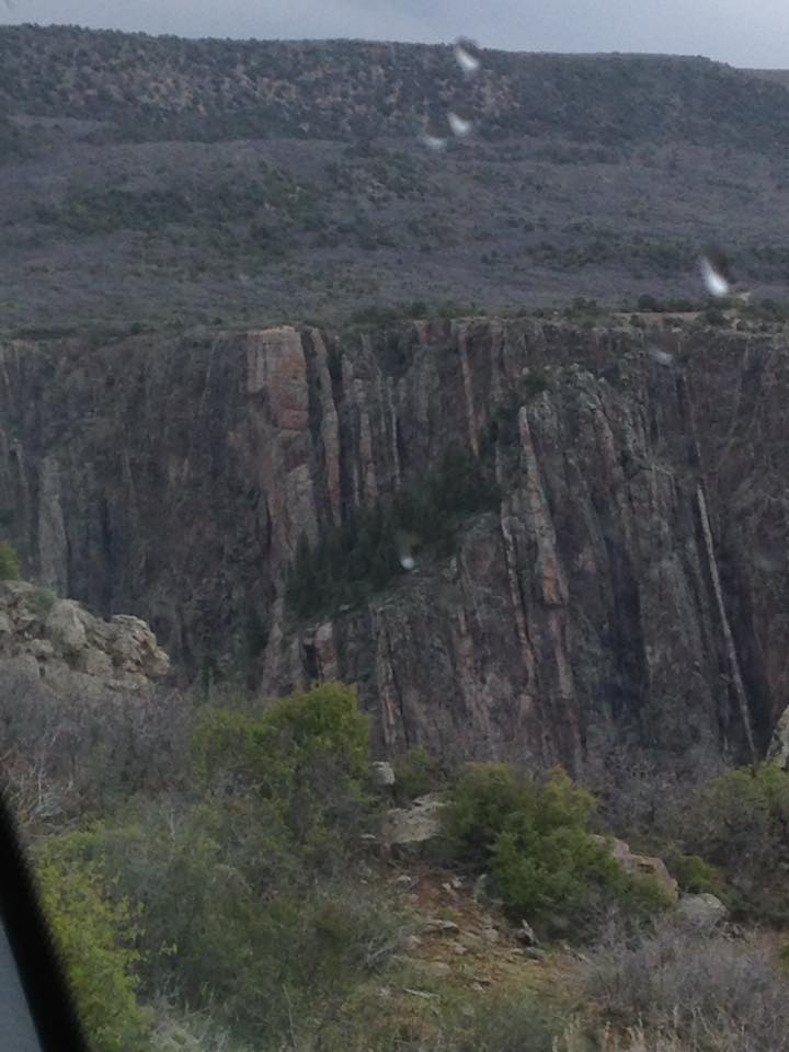 13151880_1242314025797345_8642444505774216608_n