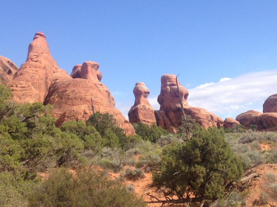 13151911_1243038739058207_5732059302269596111_n