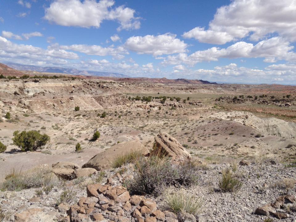 13151966_1244475805581167_4513625474335017827_n