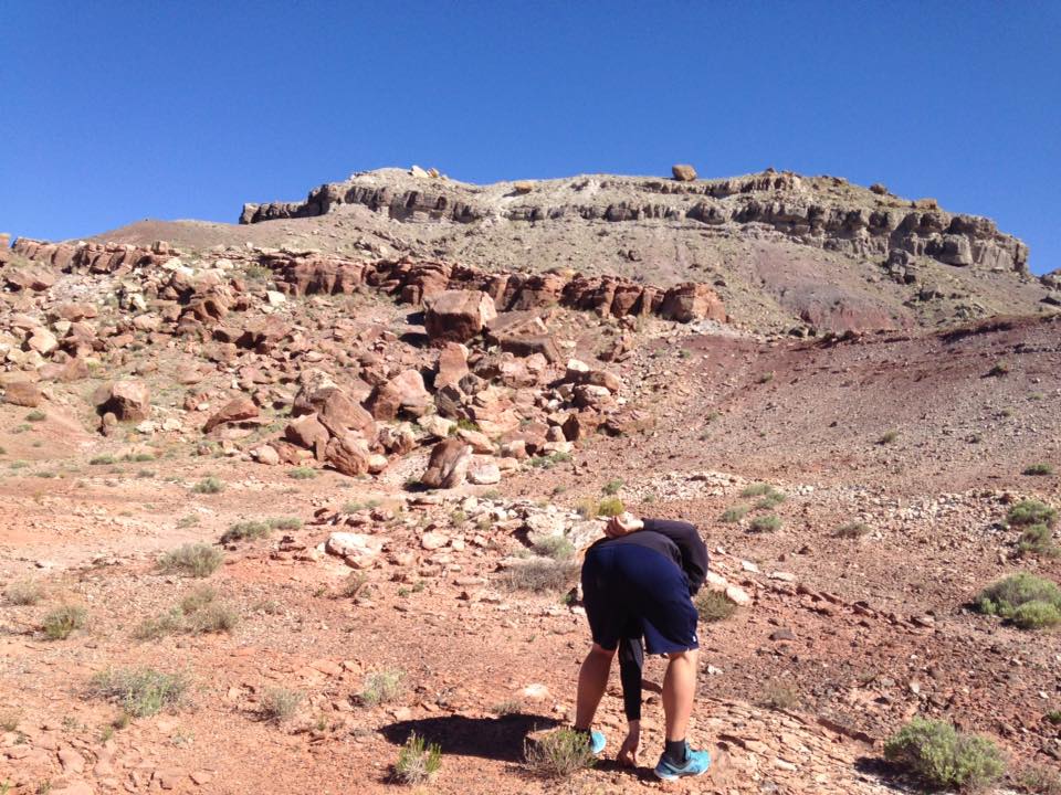 13164180_1245441298817951_6939740076695382255_n