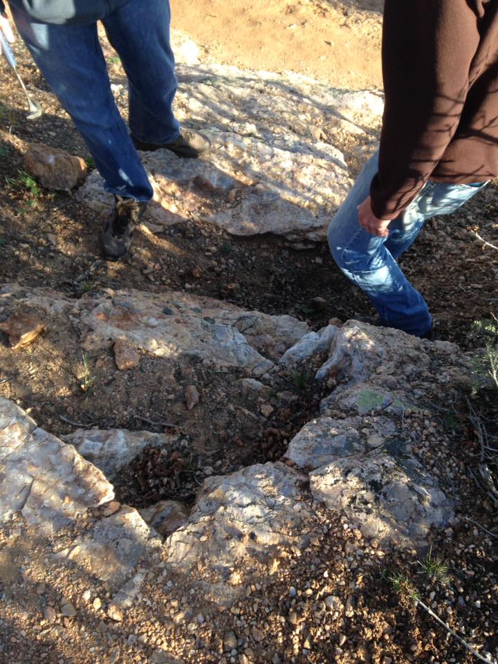 13164207_1242375162457898_2246715703091121313_n