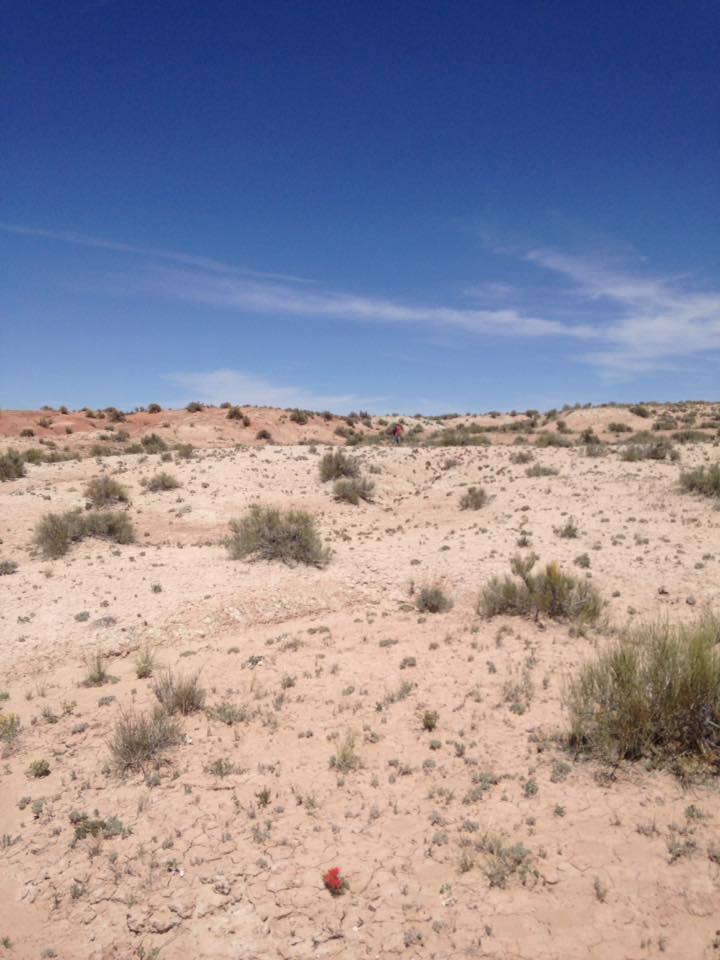 13164246_1246706312024783_6763745228797476248_n