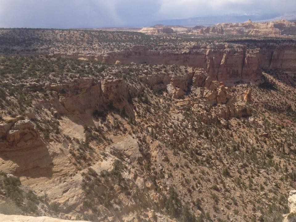 13164279_1243184765710271_3612597281420161251_n