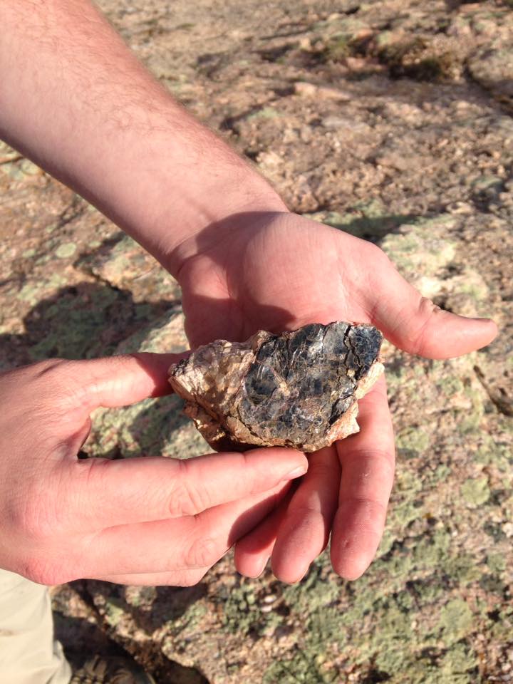 13164415_1242377545790993_1430086289669693638_n